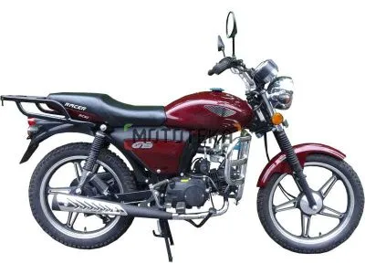 Мопед Racer (Рейсер) RC50 - F ALPHA + ЦПГ 110 см3 бордовый