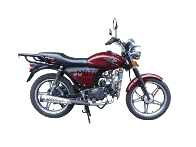 Мопед Racer (Рейсер) RC50 (125) ALPHA M2 бордовый